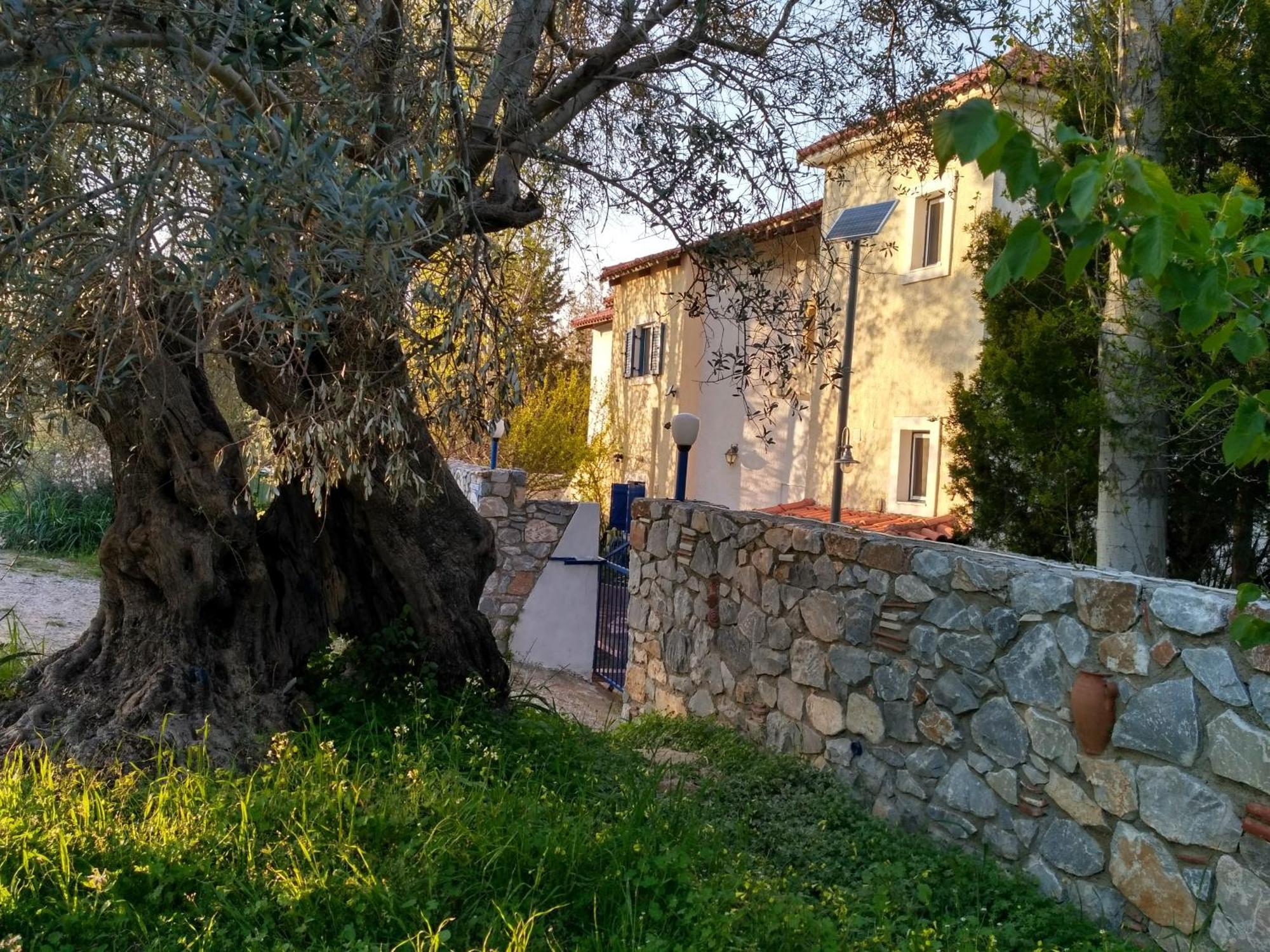 9 Musses Hotel Apartments Skala Mistegnon Dış mekan fotoğraf