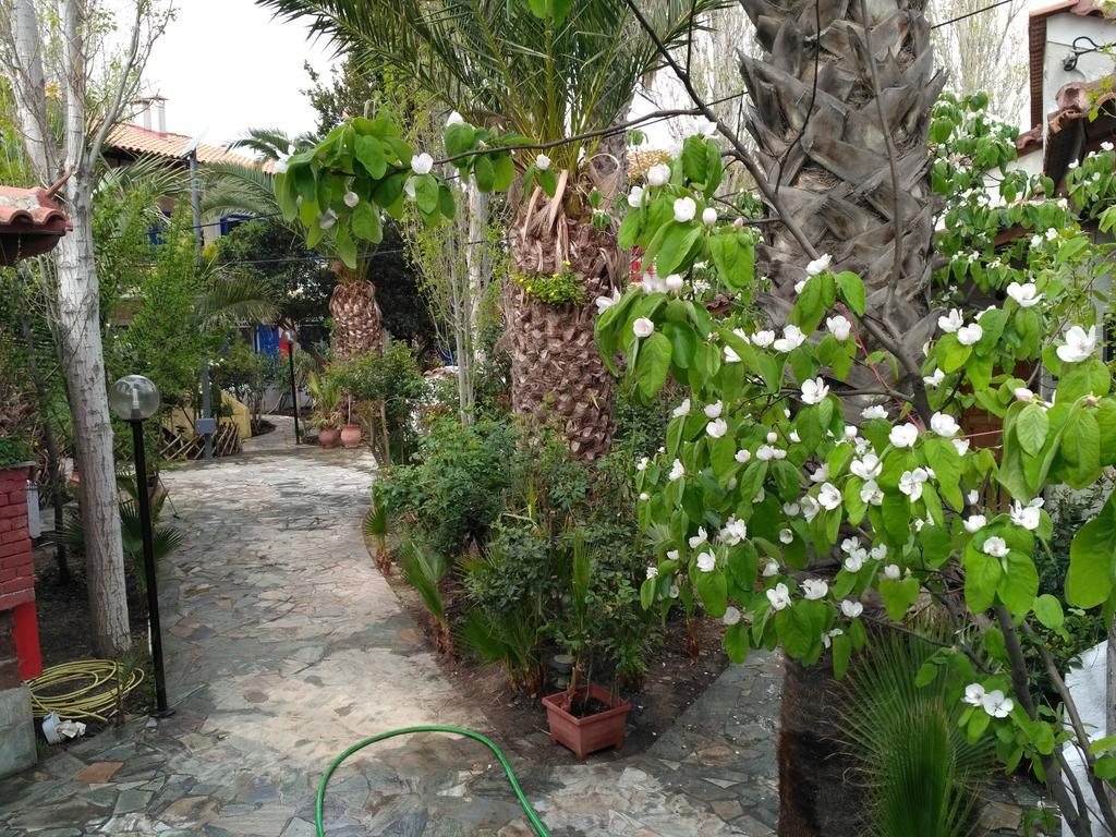 9 Musses Hotel Apartments Skala Mistegnon Dış mekan fotoğraf