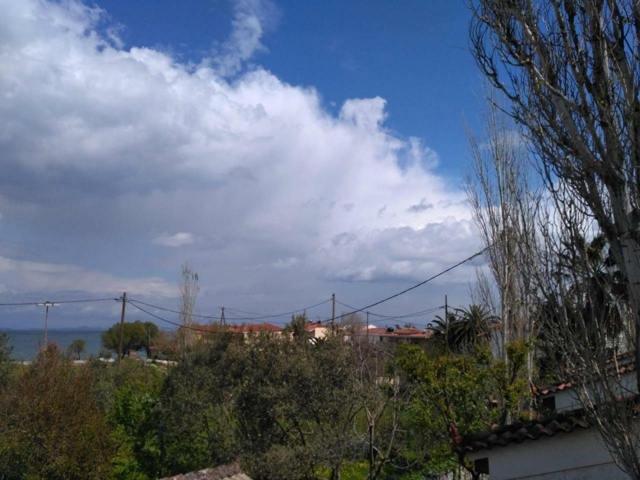 9 Musses Hotel Apartments Skala Mistegnon Dış mekan fotoğraf