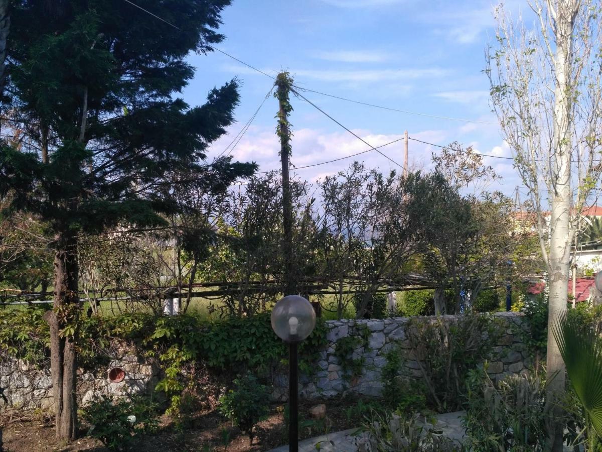 9 Musses Hotel Apartments Skala Mistegnon Dış mekan fotoğraf